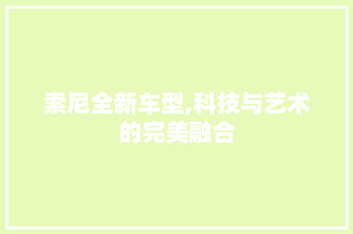 索尼全新车型,科技与艺术的完美融合
