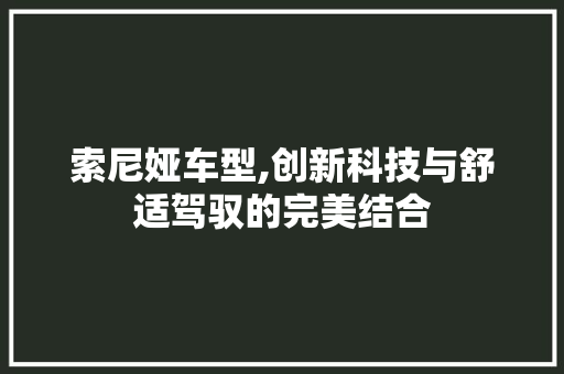 索尼娅车型,创新科技与舒适驾驭的完美结合