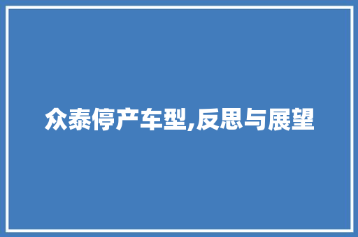 众泰停产车型,反思与展望