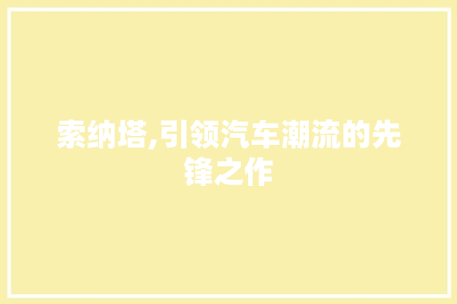 索纳塔,引领汽车潮流的先锋之作