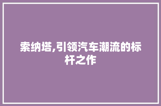 索纳塔,引领汽车潮流的标杆之作