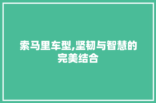 索马里车型,坚韧与智慧的完美结合