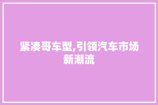 紧凑哥车型,引领汽车市场新潮流
