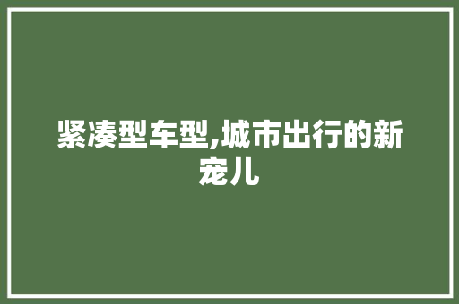 紧凑型车型,城市出行的新宠儿