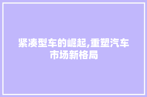 紧凑型车的崛起,重塑汽车市场新格局