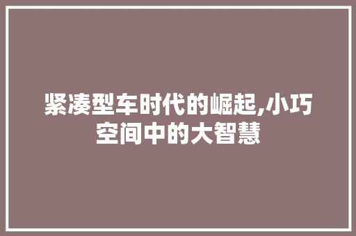 紧凑型车时代的崛起,小巧空间中的大智慧
