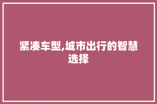紧凑车型,城市出行的智慧选择