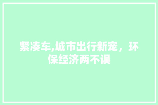 紧凑车,城市出行新宠，环保经济两不误