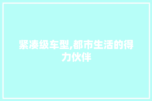紧凑级车型,都市生活的得力伙伴