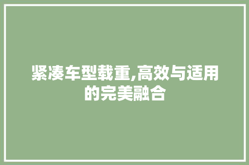 紧凑车型载重,高效与适用的完美融合