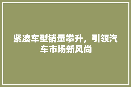 紧凑车型销量攀升，引领汽车市场新风尚
