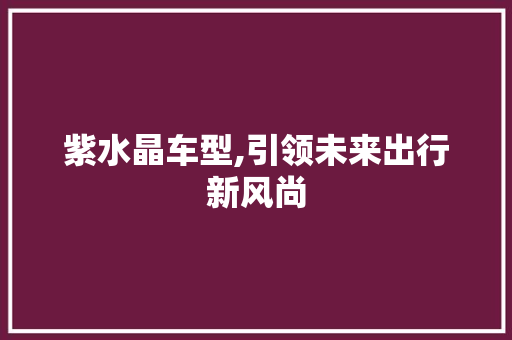 紫水晶车型,引领未来出行新风尚