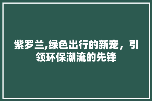 紫罗兰,绿色出行的新宠，引领环保潮流的先锋