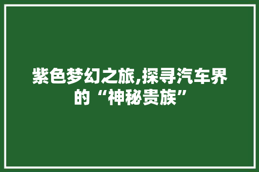紫色梦幻之旅,探寻汽车界的“神秘贵族”