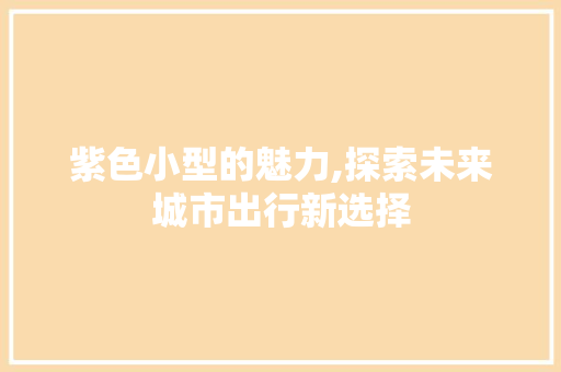 紫色小型的魅力,探索未来城市出行新选择