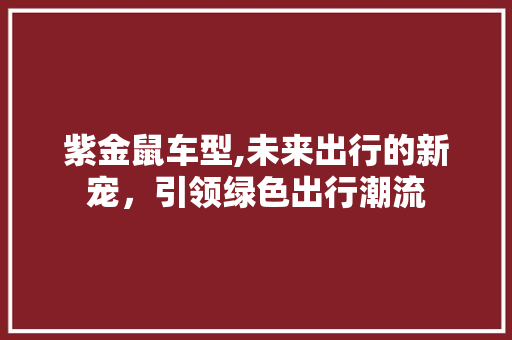 紫金鼠车型,未来出行的新宠，引领绿色出行潮流