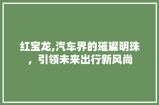 红宝龙,汽车界的璀璨明珠，引领未来出行新风尚