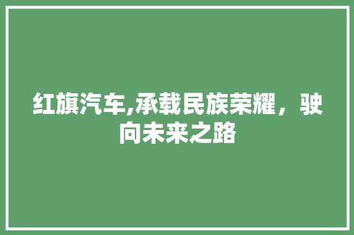 红旗汽车,承载民族荣耀，驶向未来之路