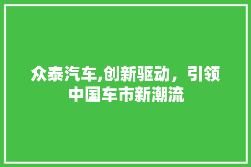 众泰汽车,创新驱动，引领中国车市新潮流