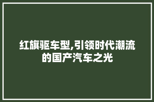 红旗驱车型,引领时代潮流的国产汽车之光