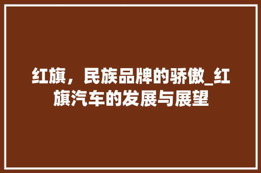 红旗，民族品牌的骄傲_红旗汽车的发展与展望