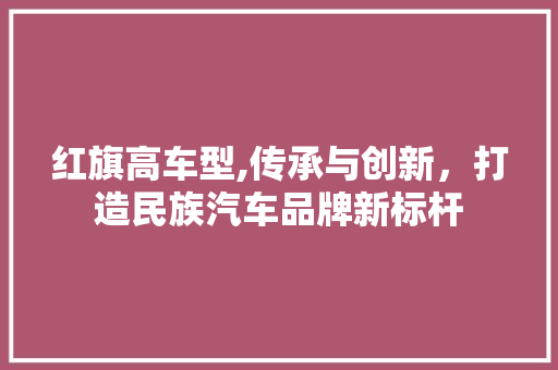 红旗高车型,传承与创新，打造民族汽车品牌新标杆