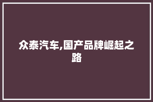 众泰汽车,国产品牌崛起之路