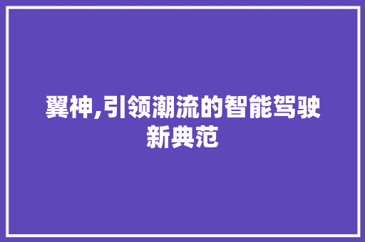 翼神,引领潮流的智能驾驶新典范