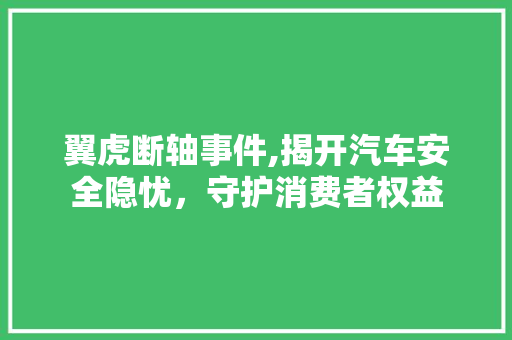 翼虎断轴事件,揭开汽车安全隐忧，守护消费者权益