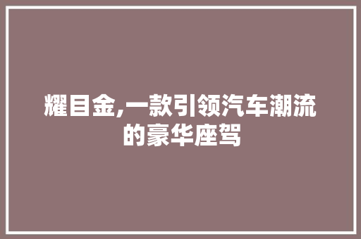 耀目金,一款引领汽车潮流的豪华座驾