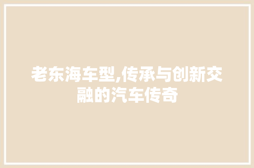 老东海车型,传承与创新交融的汽车传奇