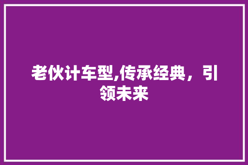 老伙计车型,传承经典，引领未来