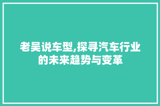 老吴说车型,探寻汽车行业的未来趋势与变革