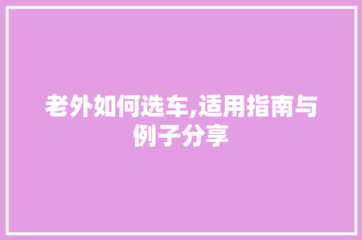 老外如何选车,适用指南与例子分享
