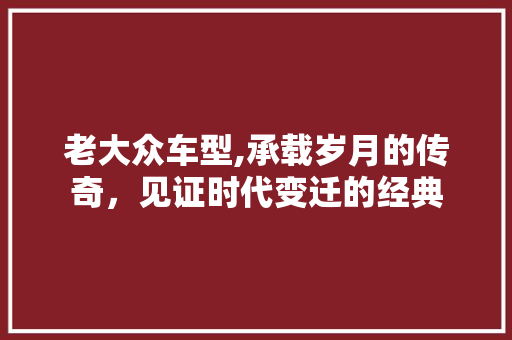 老大众车型,承载岁月的传奇，见证时代变迁的经典