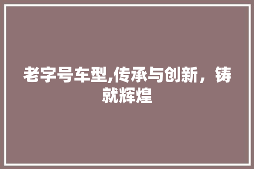 老字号车型,传承与创新，铸就辉煌