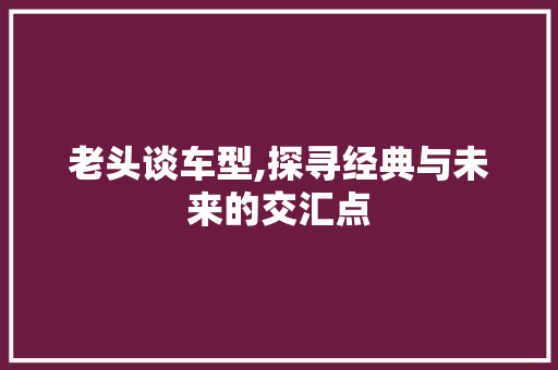 老头谈车型,探寻经典与未来的交汇点