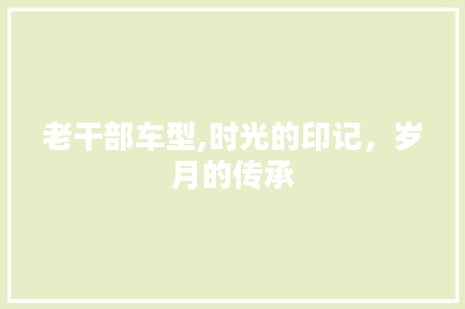 老干部车型,时光的印记，岁月的传承