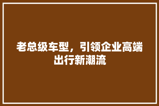 老总级车型，引领企业高端出行新潮流