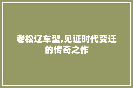 老松辽车型,见证时代变迁的传奇之作
