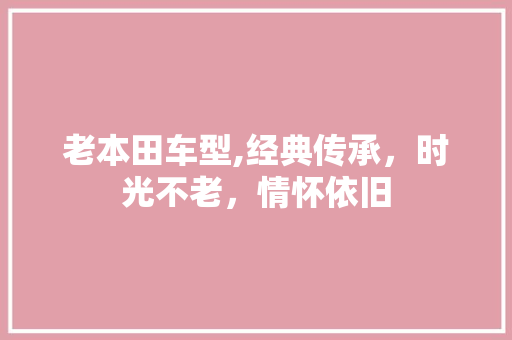 老本田车型,经典传承，时光不老，情怀依旧
