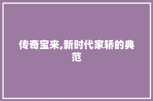 传奇宝来,新时代家轿的典范