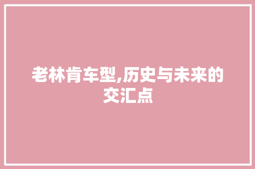 老林肯车型,历史与未来的交汇点