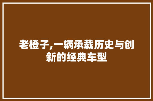 老橙子,一辆承载历史与创新的经典车型