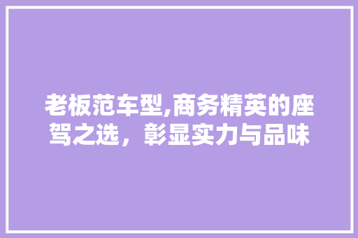 老板范车型,商务精英的座驾之选，彰显实力与品味