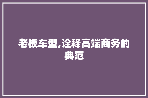 老板车型,诠释高端商务的典范