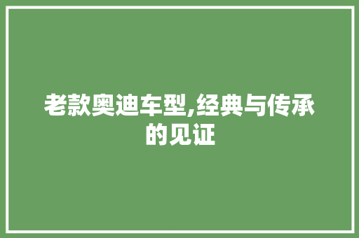 老款奥迪车型,经典与传承的见证