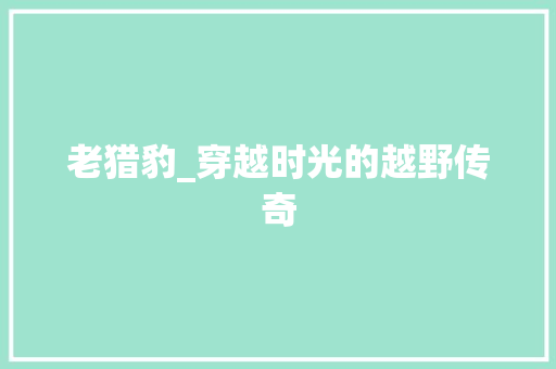 老猎豹_穿越时光的越野传奇