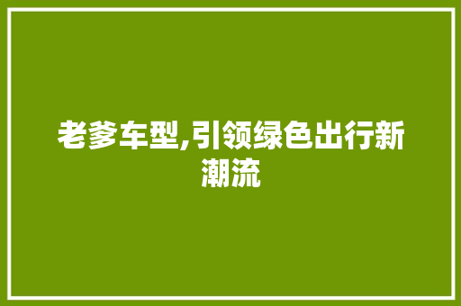老爹车型,引领绿色出行新潮流