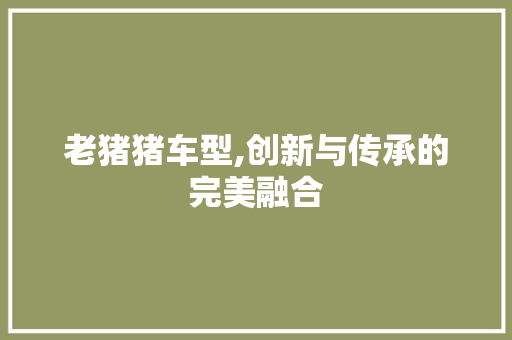 老猪猪车型,创新与传承的完美融合